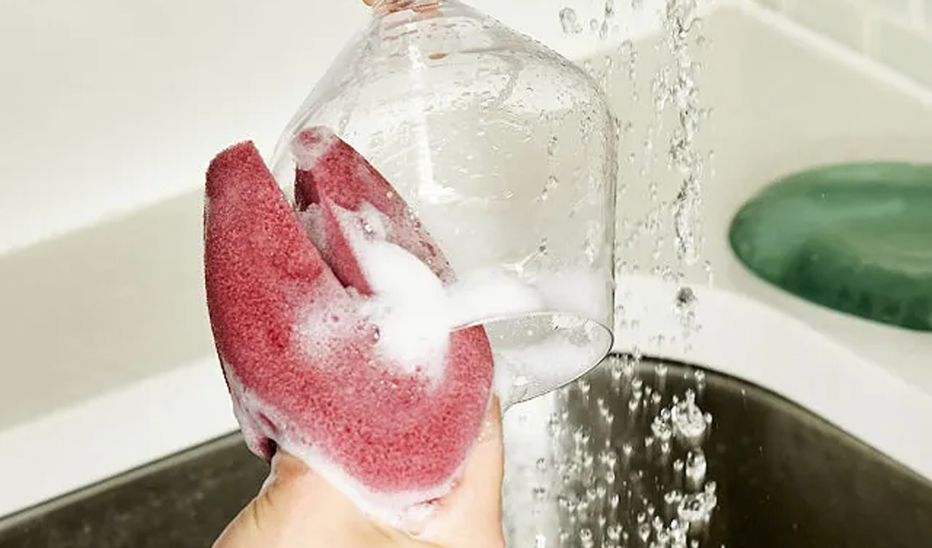 wine glass sponge