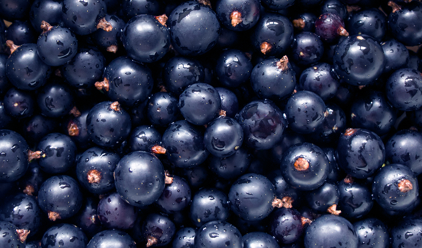 mccormick flavor of the year black currant berry