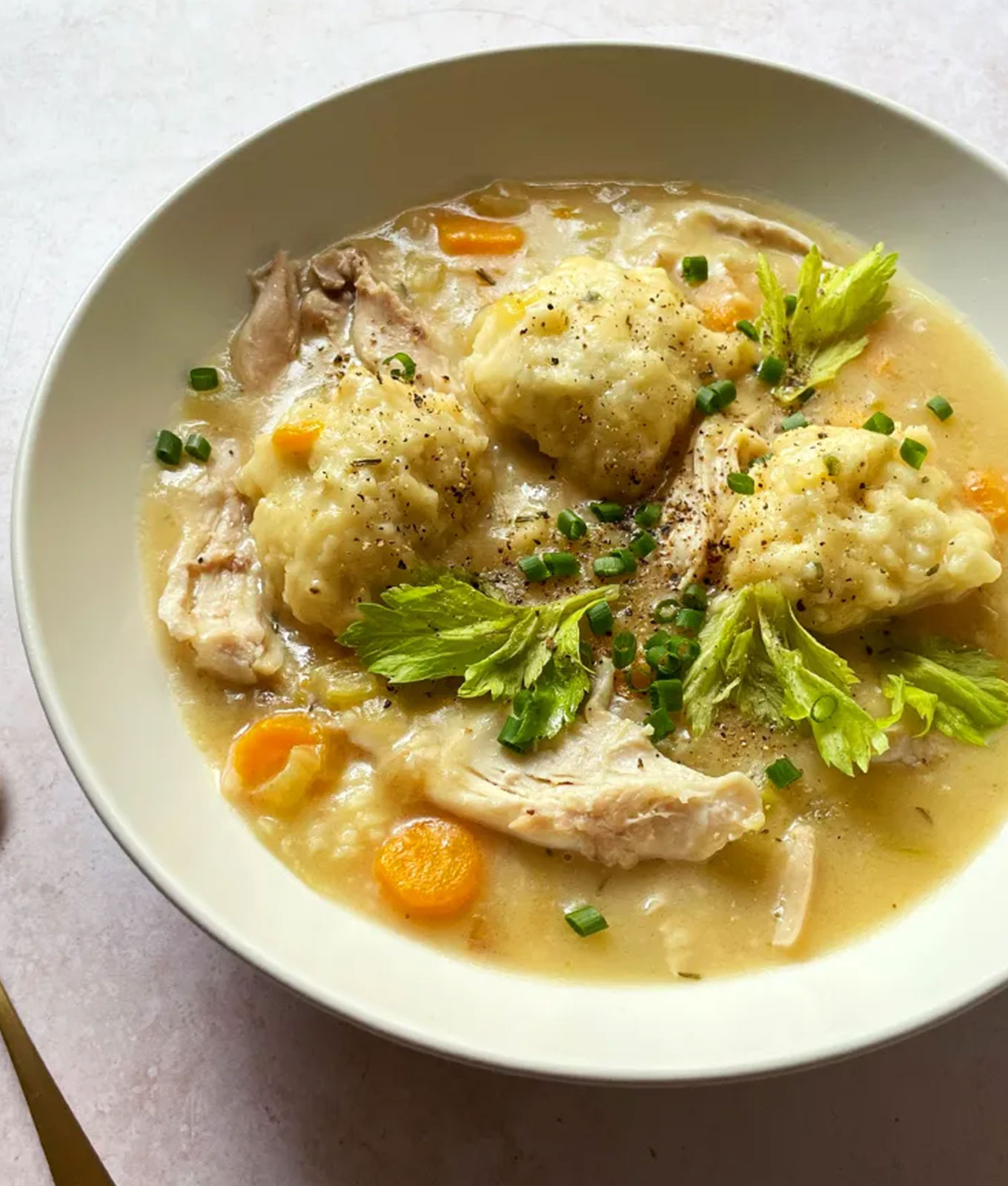 december dinner recipes: instant pot chicken and dumplings