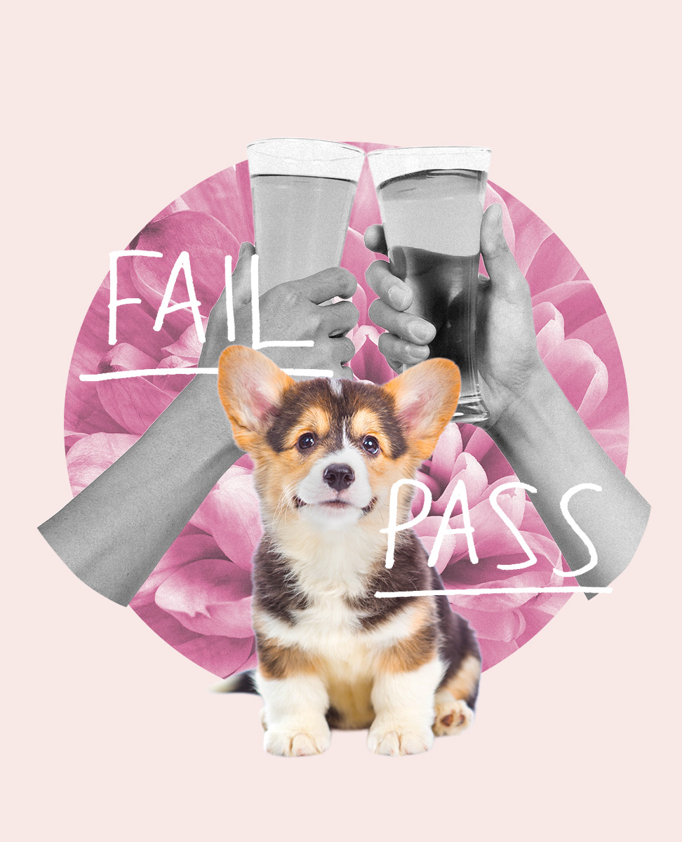 2 beers and a puppy friendship test Hero