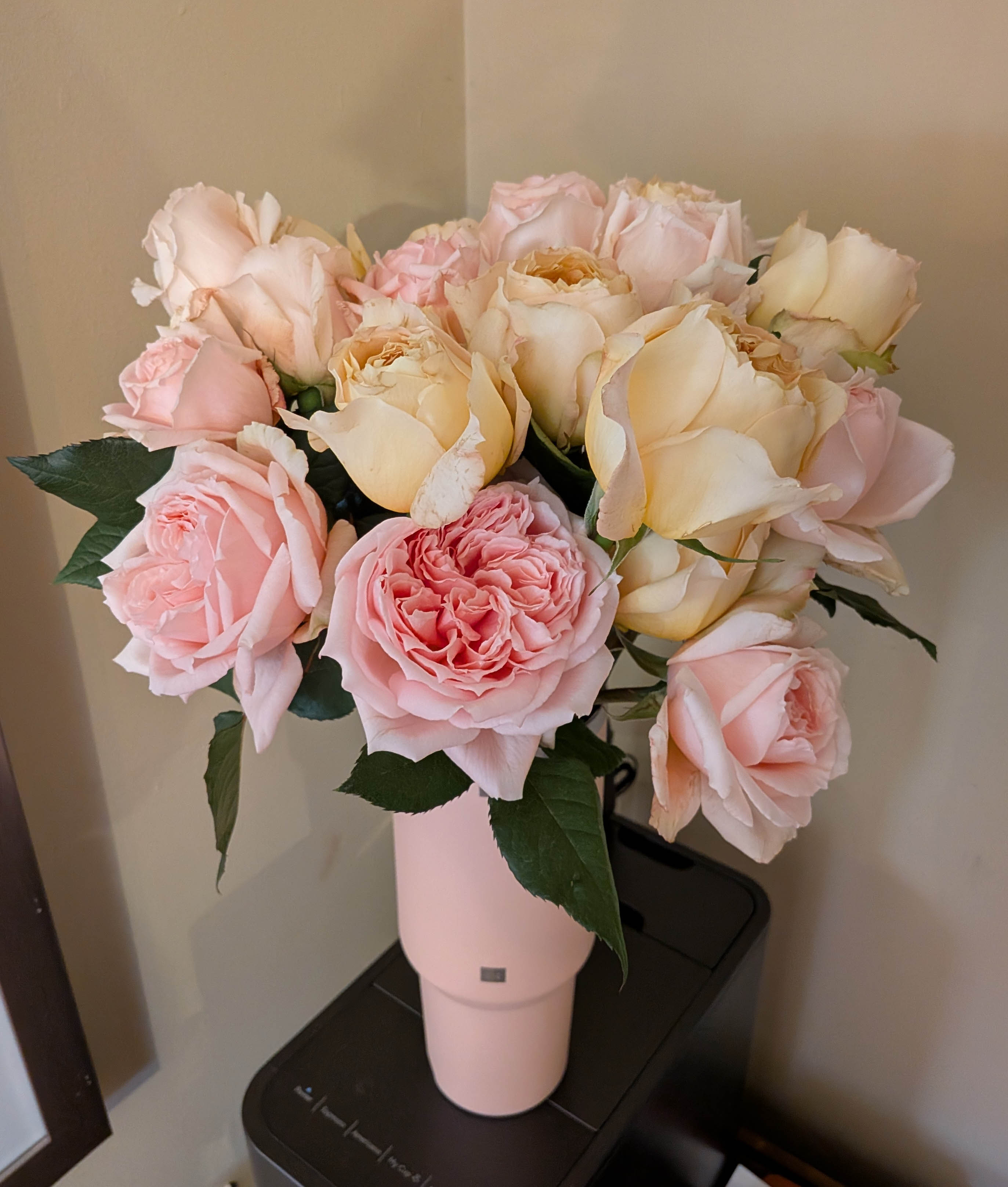 laura ashley: Sweet Elegance Garden Roses, day 3