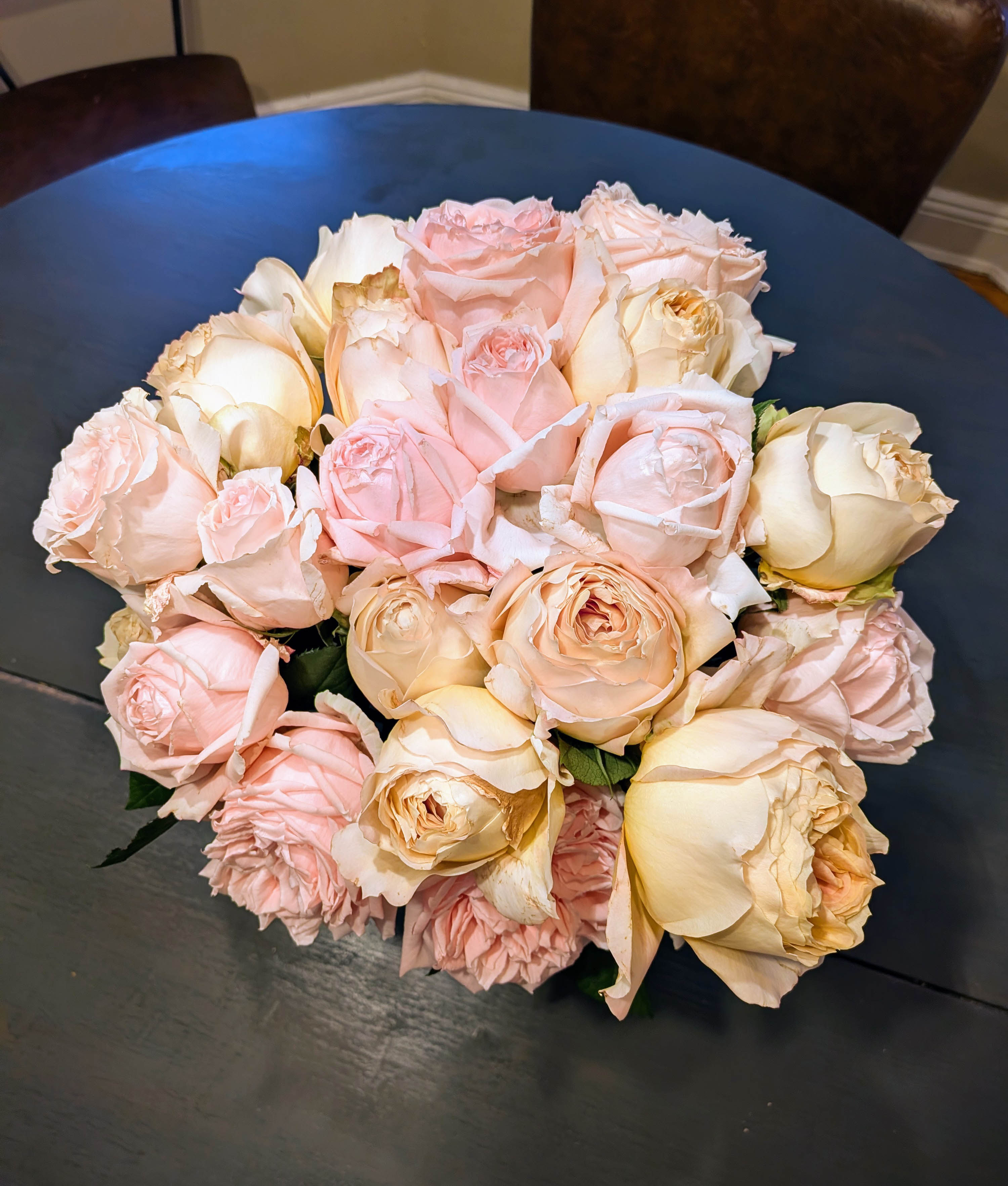 laura ashley: Sweet Elegance Garden Roses, day 3