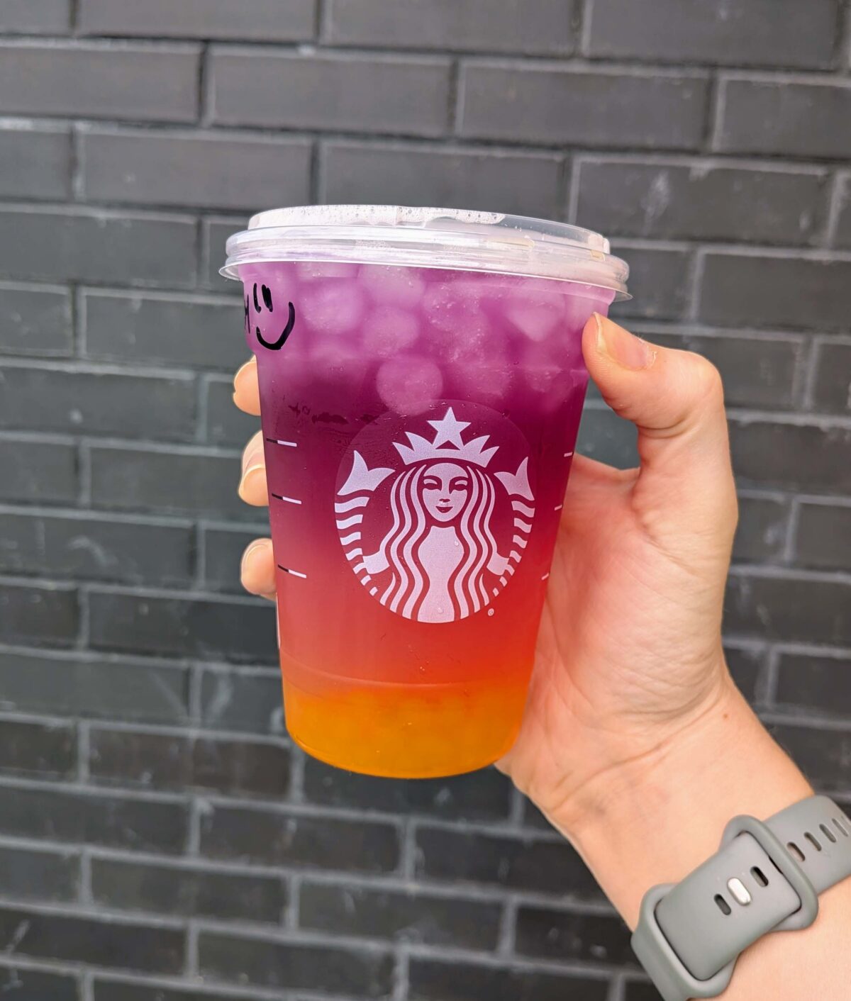 tropical butterfly refresher