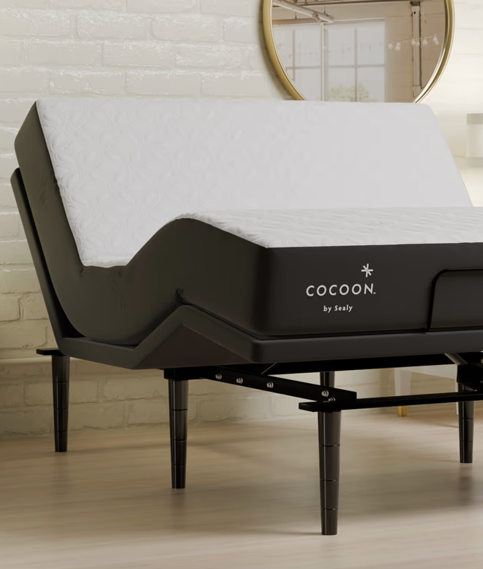 cocoon bed and base