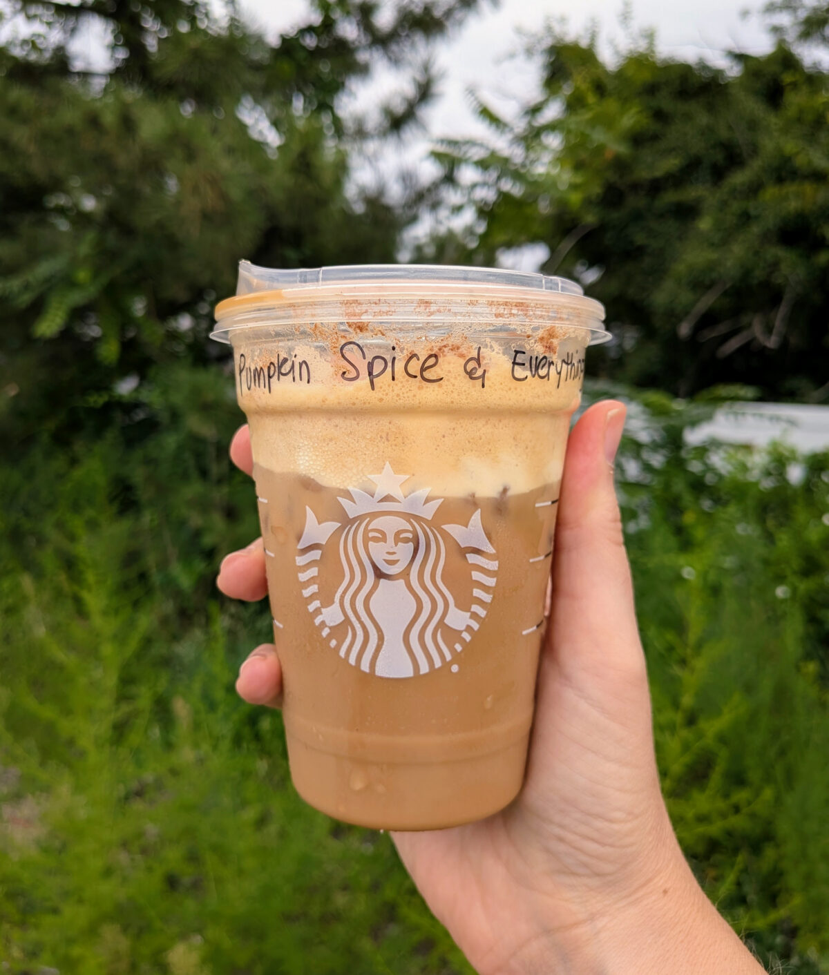 iced pumpkin cream shaken espresso