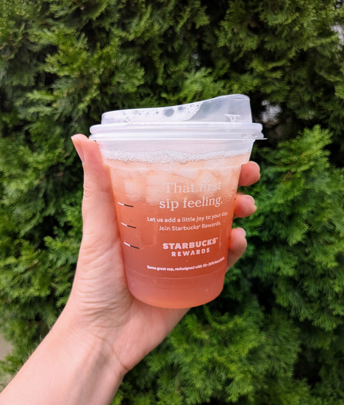 starbucks chaider review 1200x1412