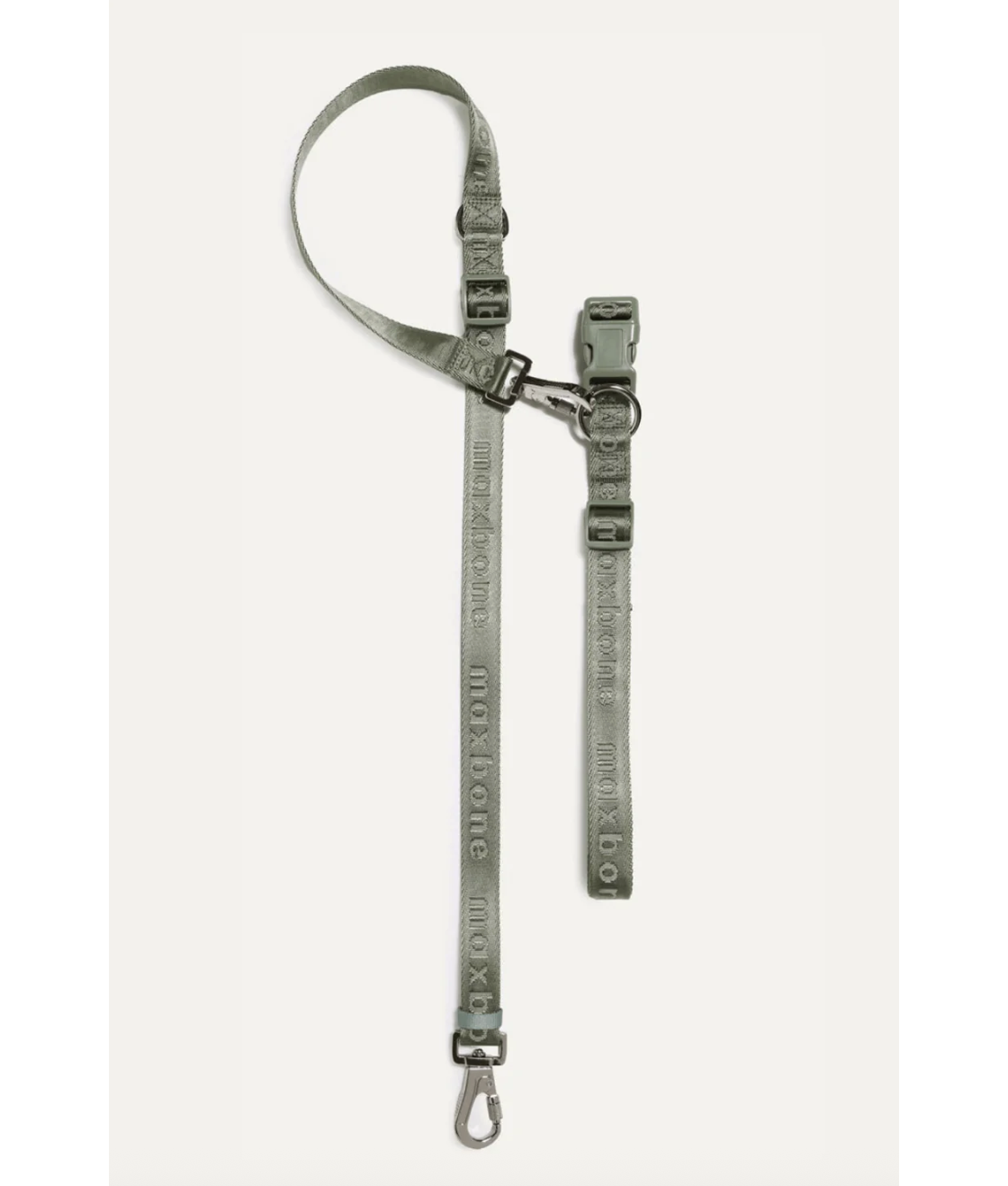 leash