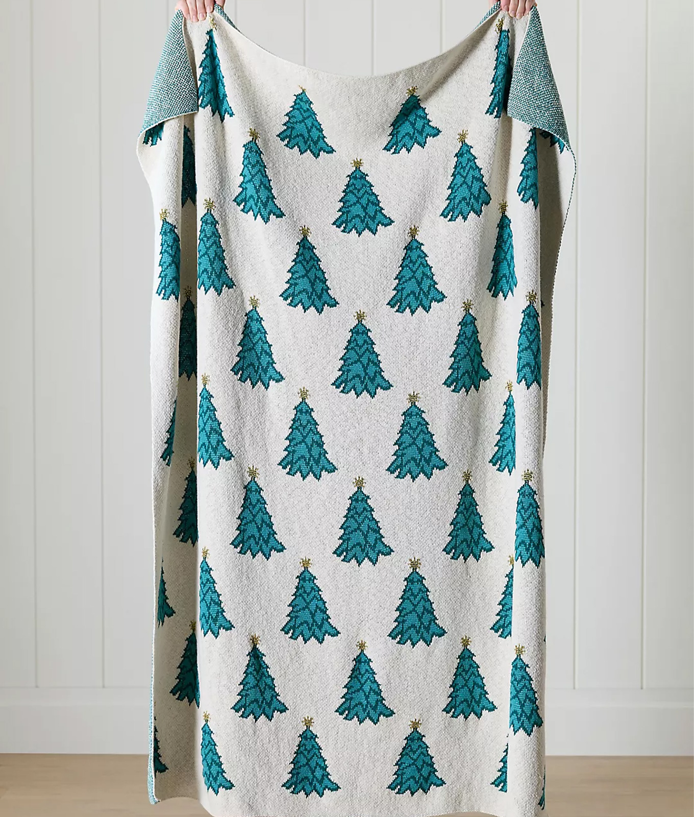 anthropologie nyc ballet blanket