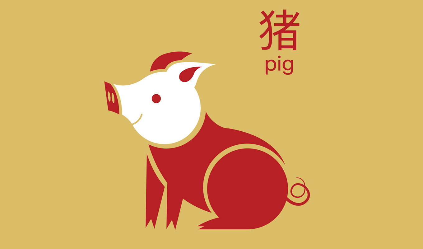 Chinese New Year predictions: Pig