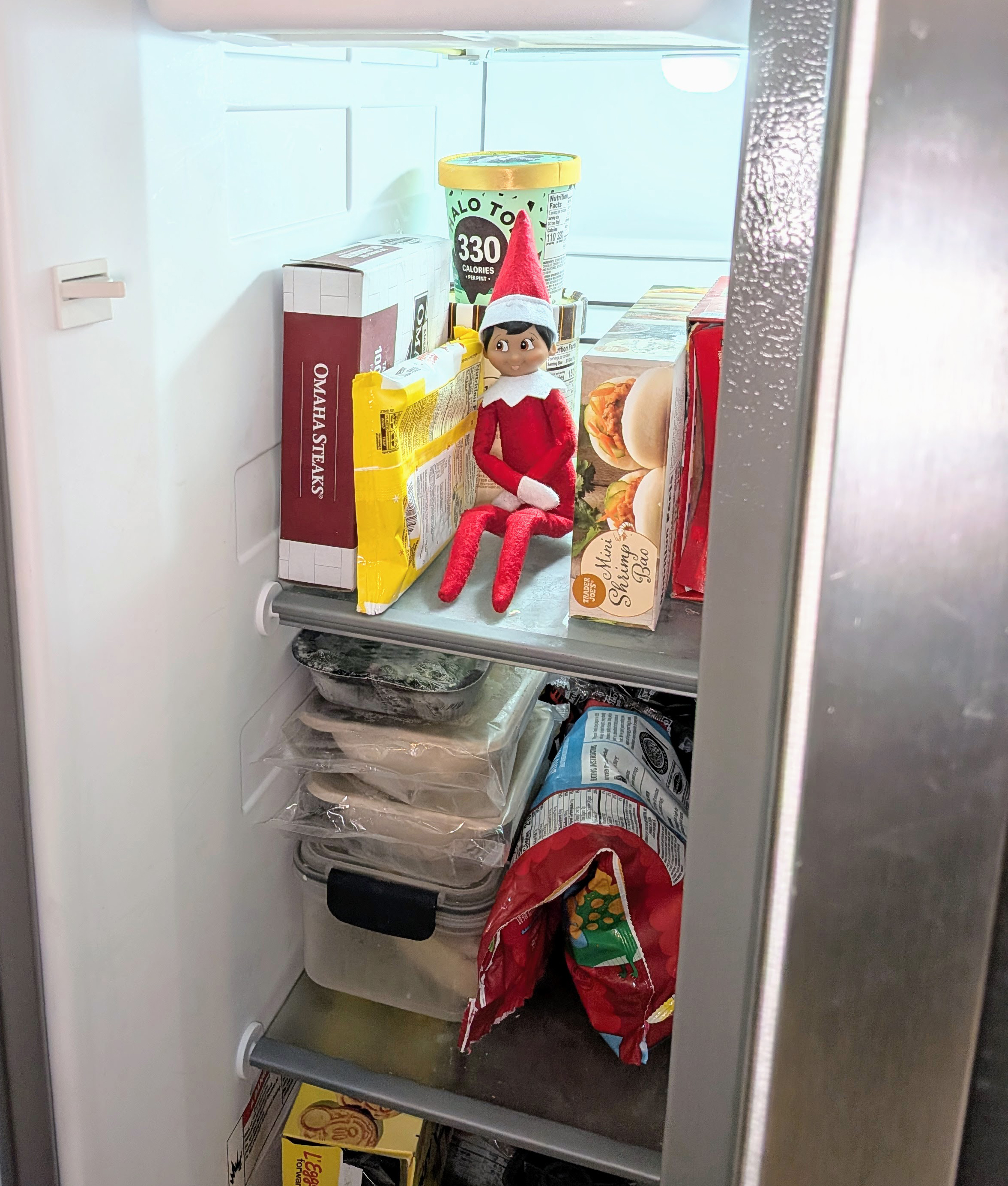 freezer elf