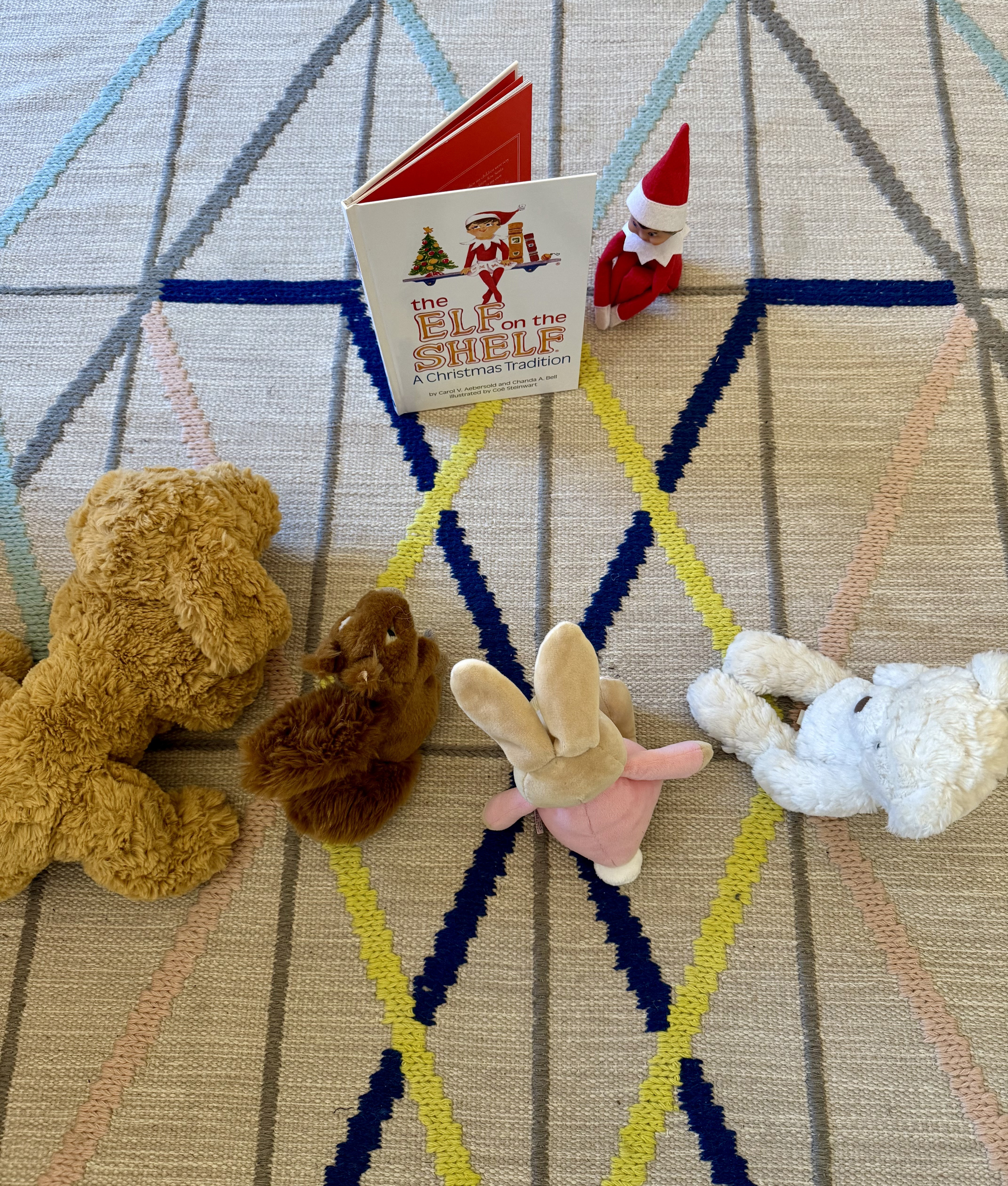circle time reading with elf