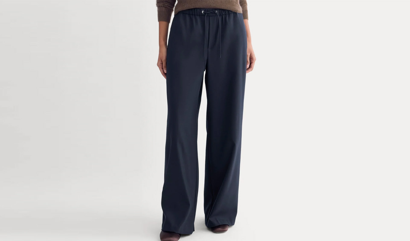 everlane navy drawstring pants