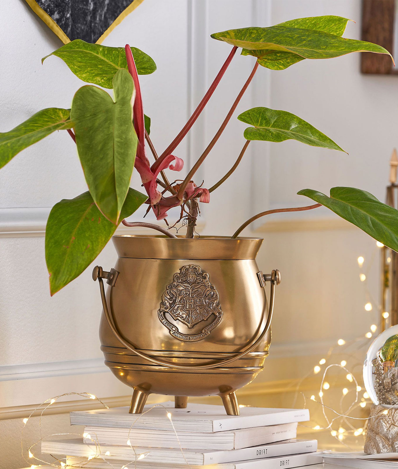 harry potter gifts plant