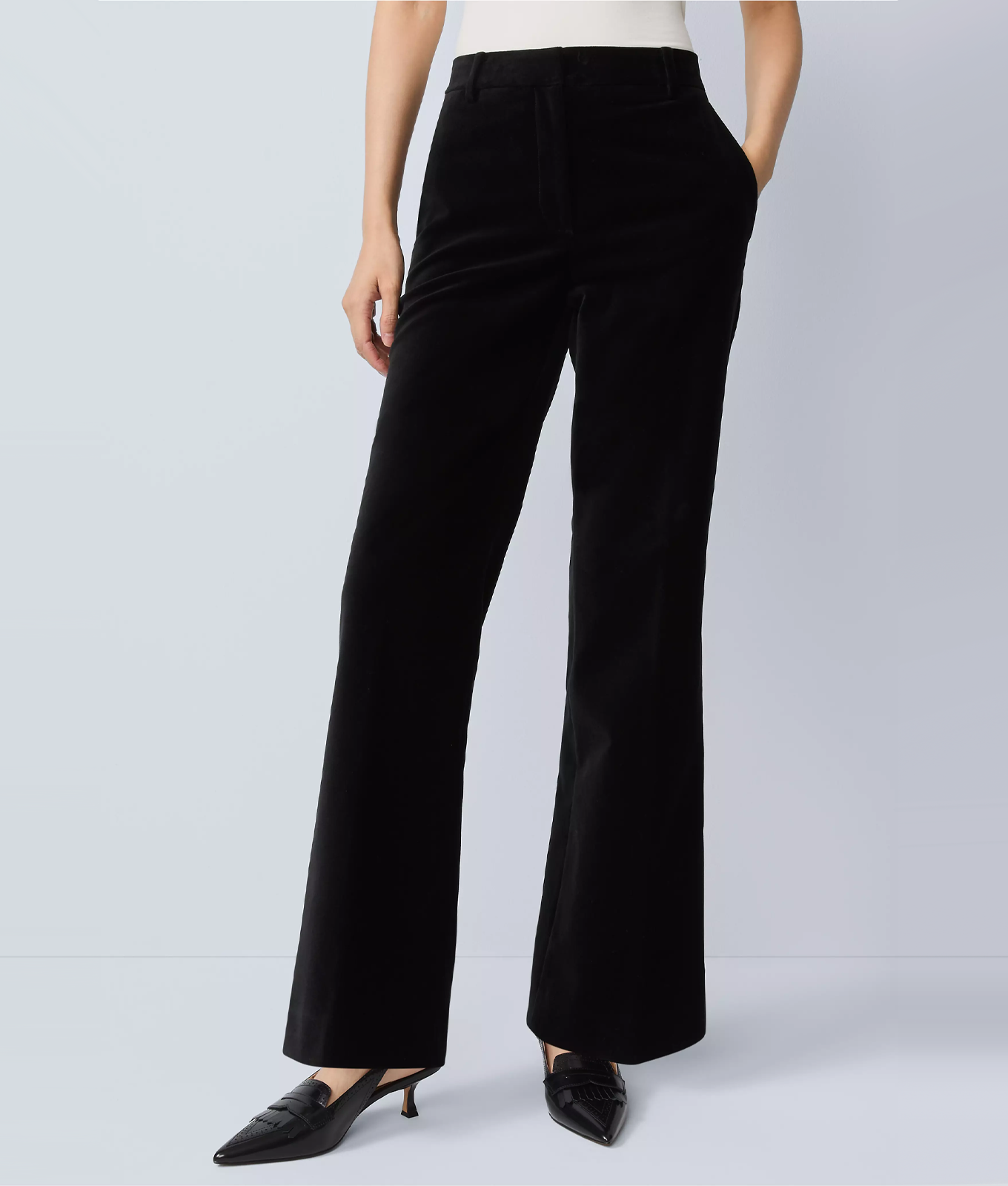 jayne velvet pants ann taylor black friday sale 2025