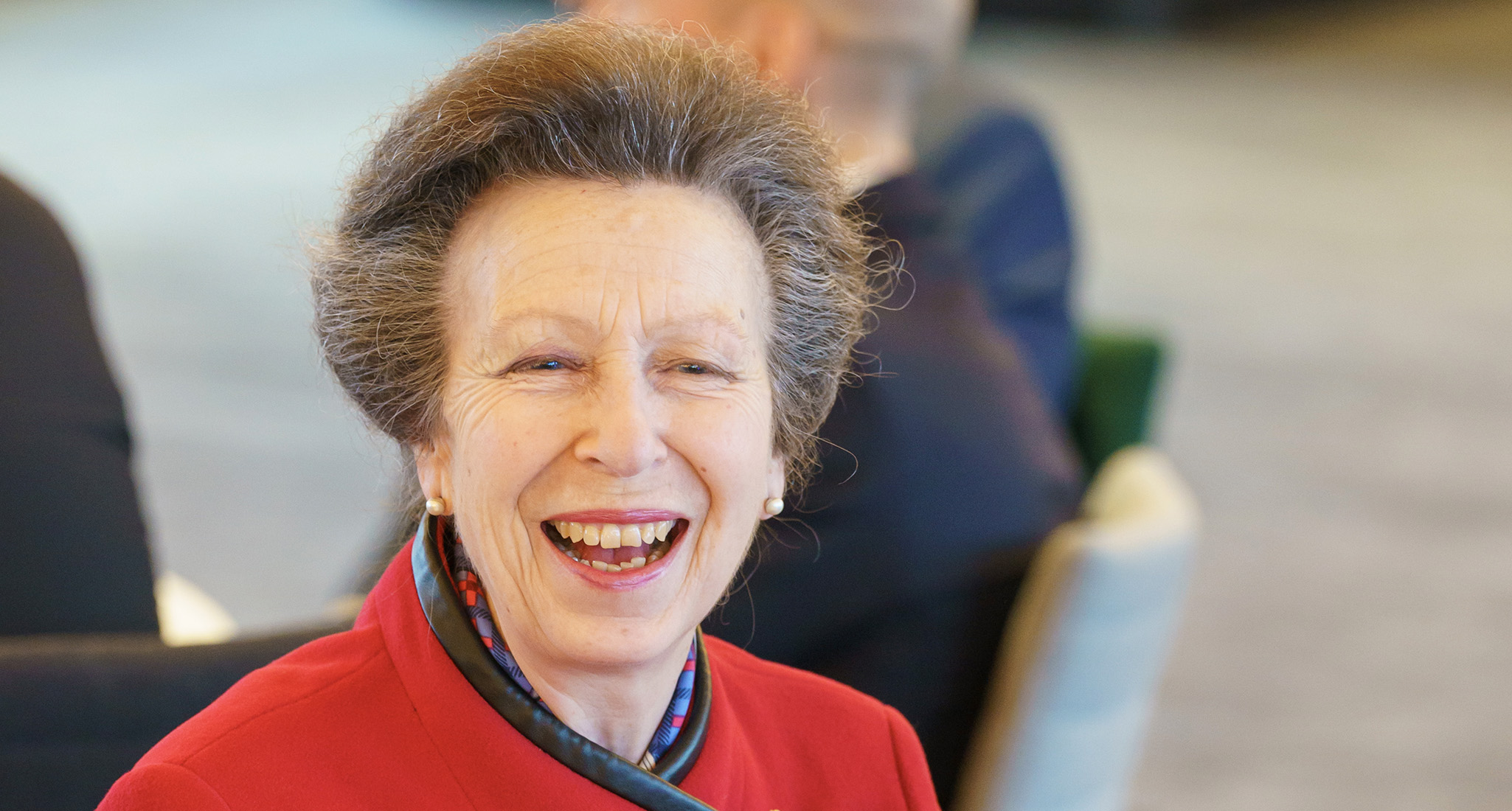 princess anne navy scarf universal