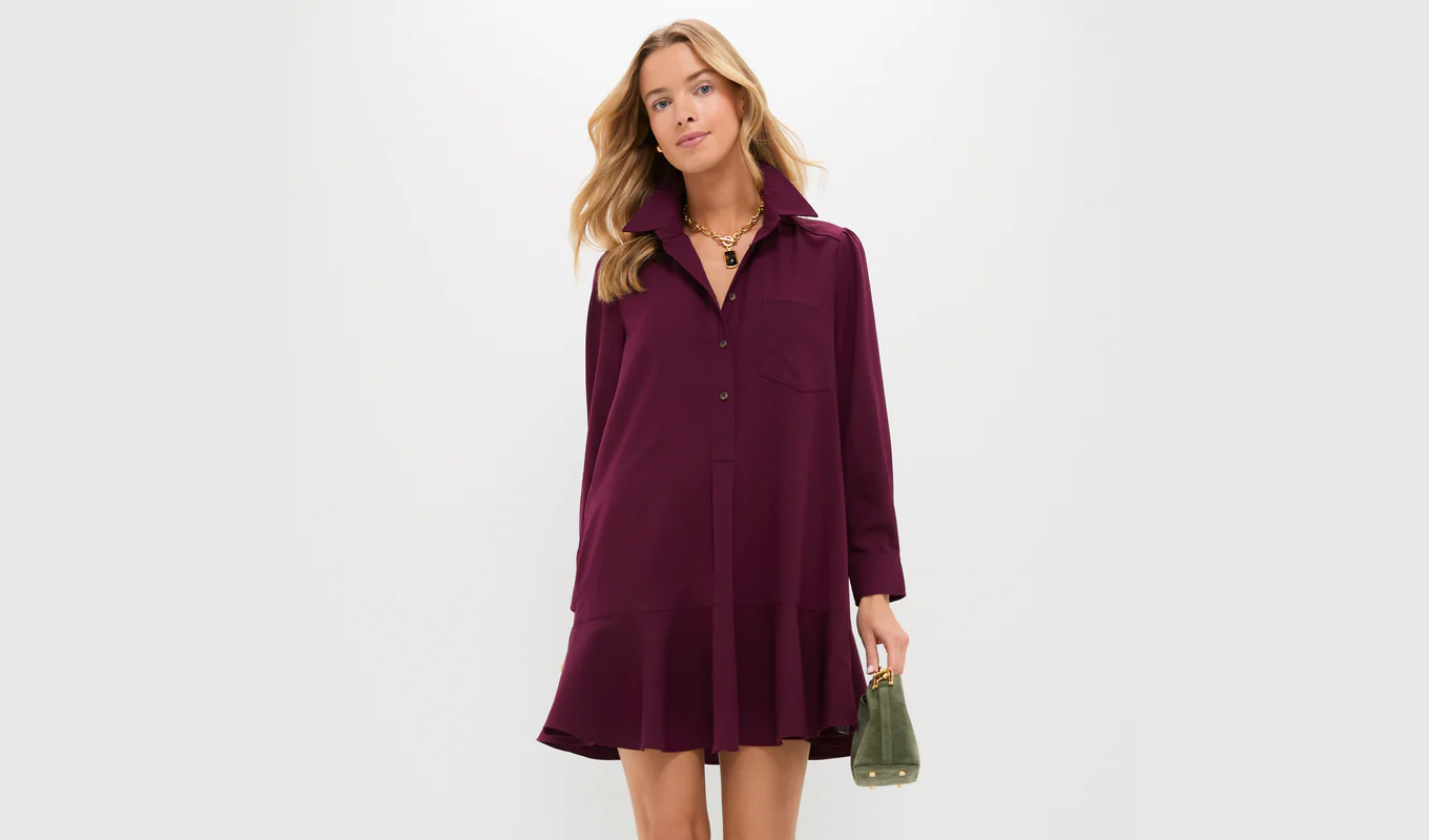 tuckernuck callahan shirtdress