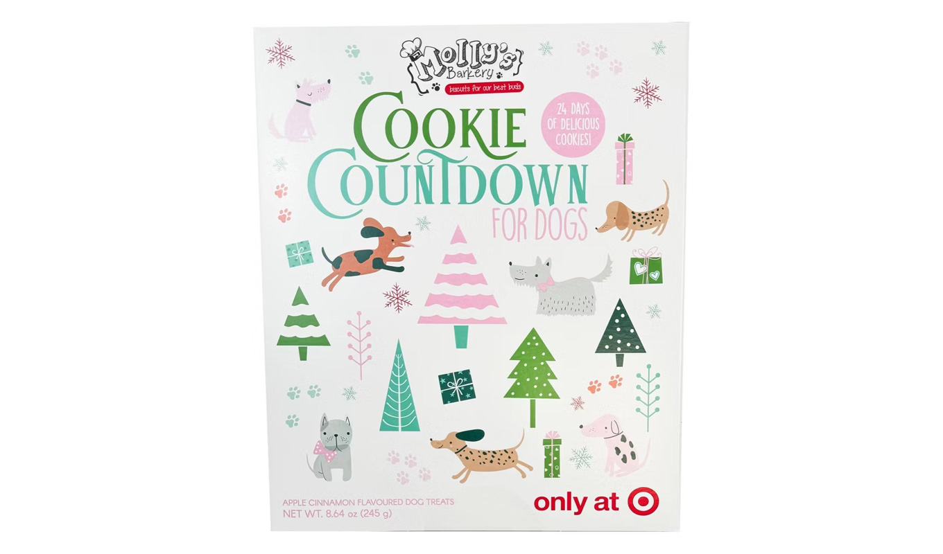 gifts for dogs mollys barkery