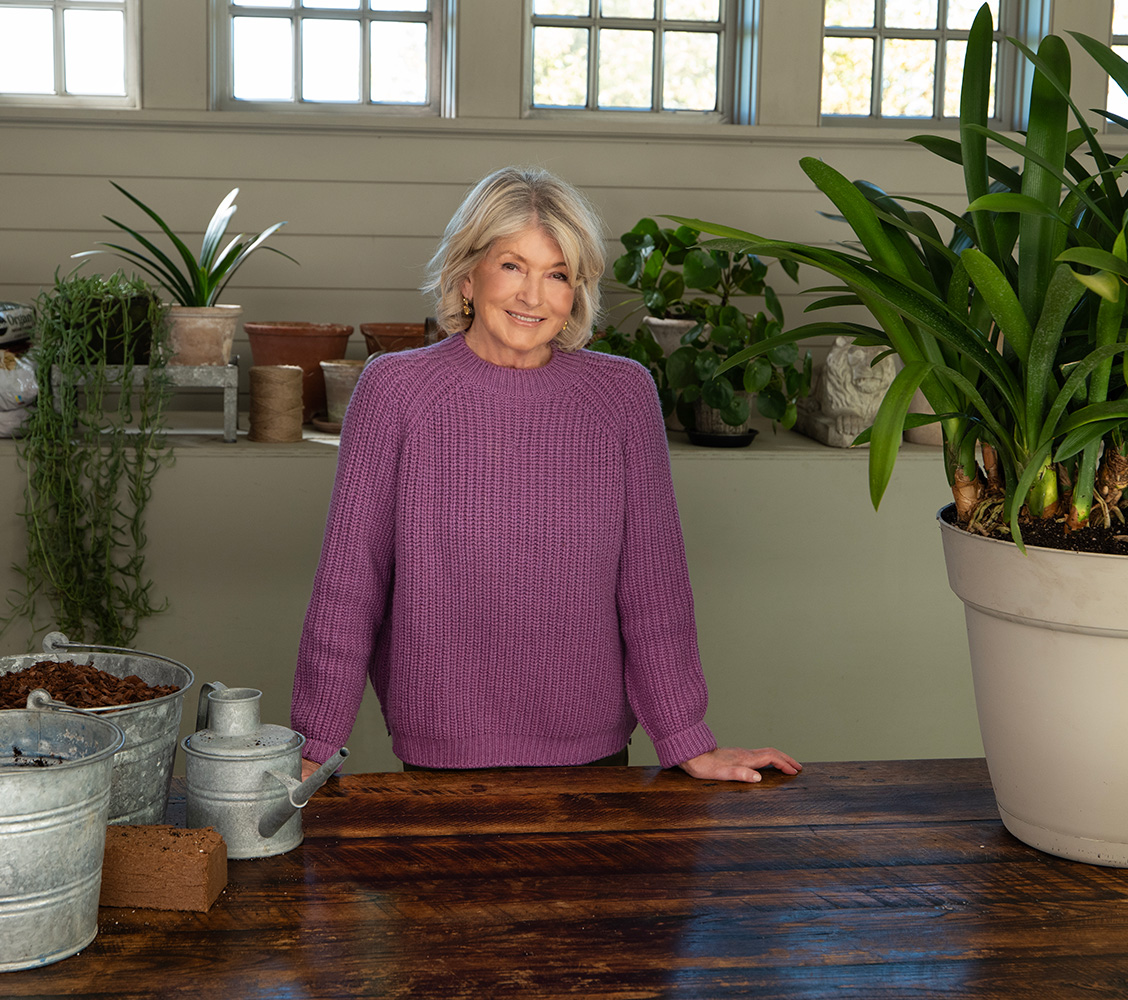 martha stewart anti aging secret stewart at potting table cat