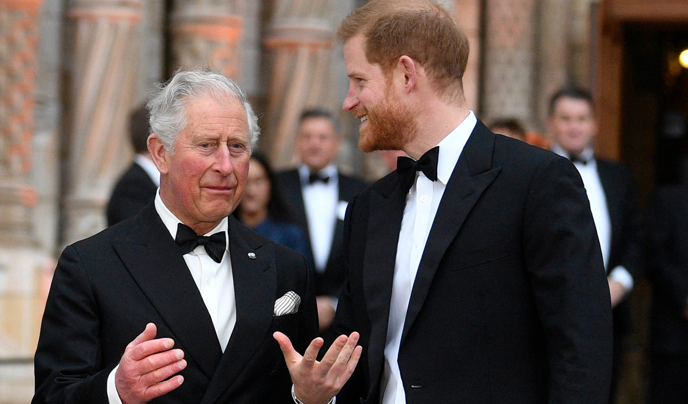 prince harry king charles reunion associated newspapers lawsuit