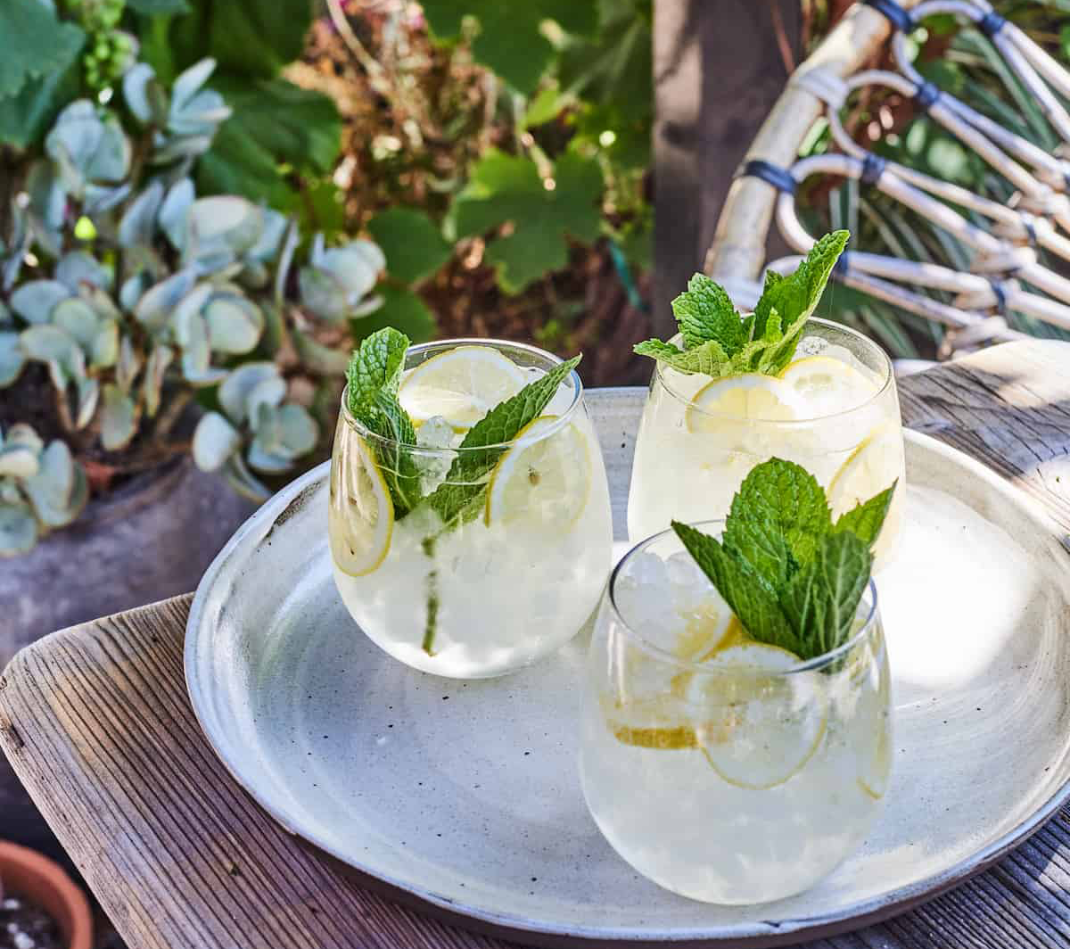 low-sugar wine spritz