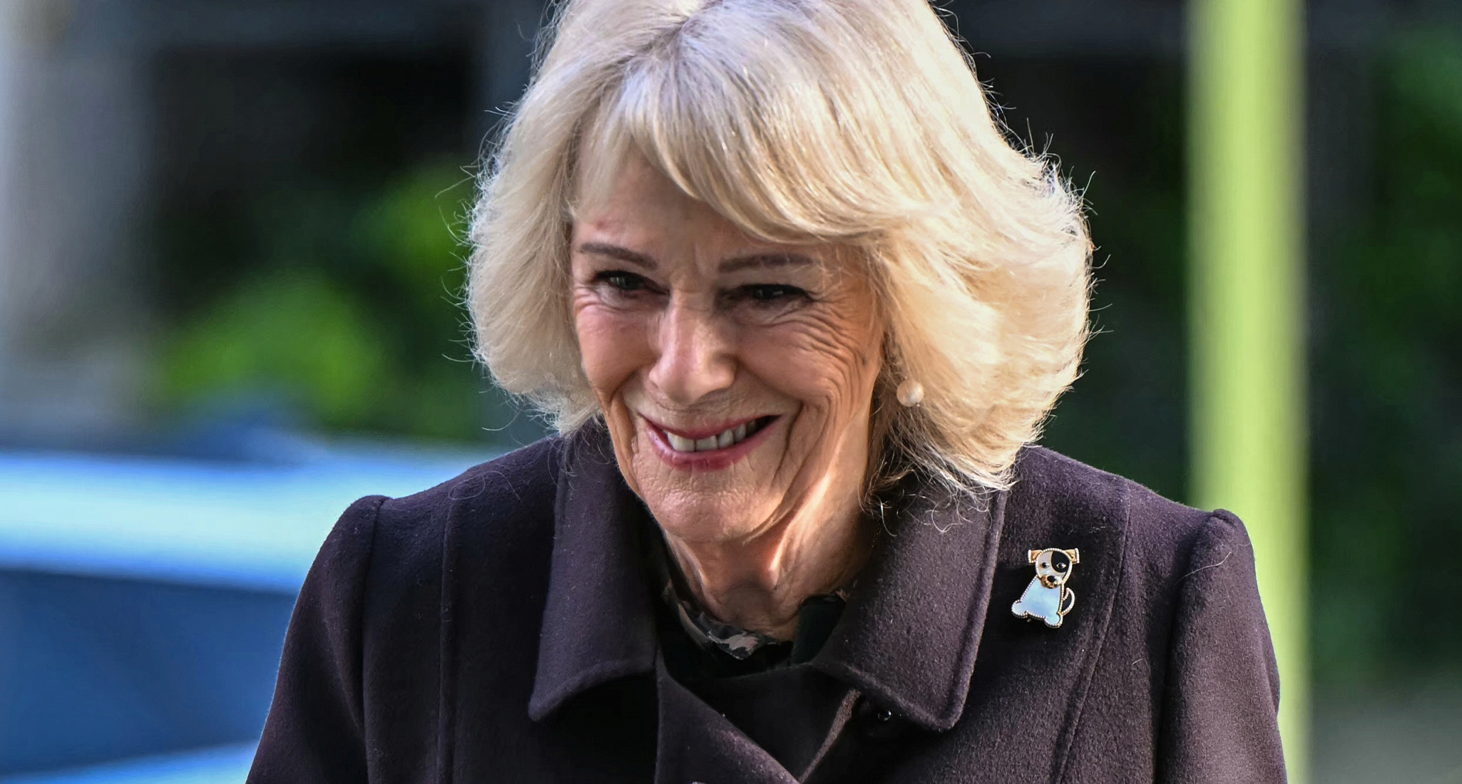 queen camilla dog brooch uni