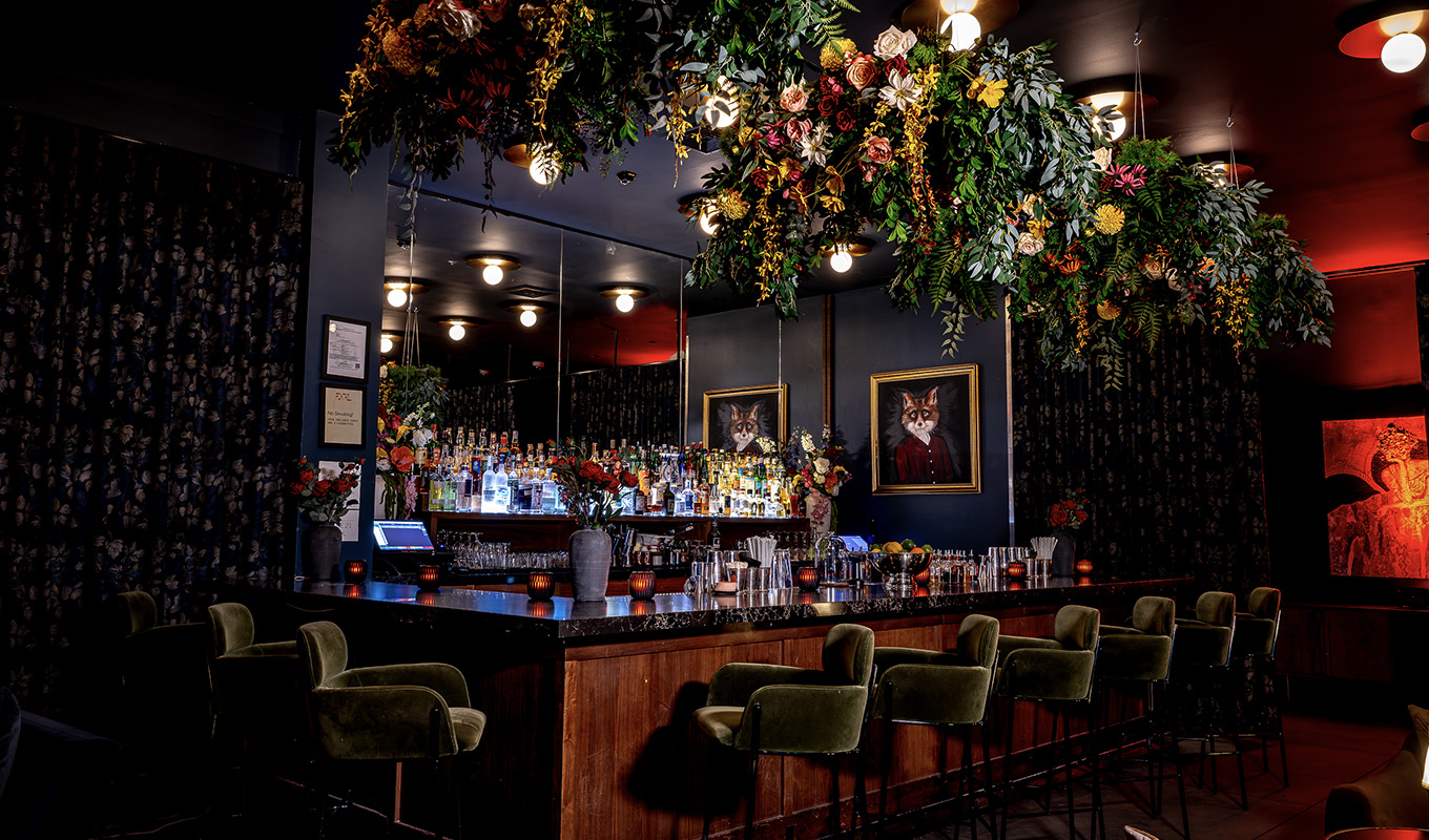 foxtail bar