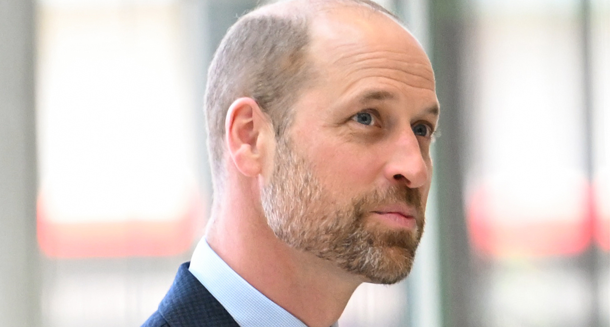 prince william princess anne future of the monarchy