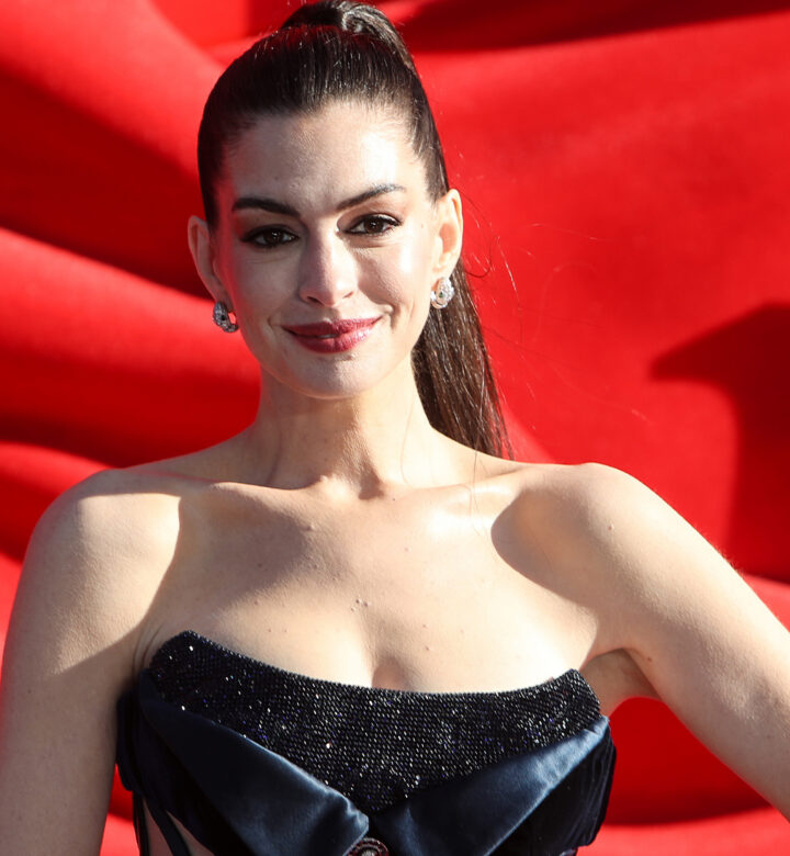 anne hathaway garment bag