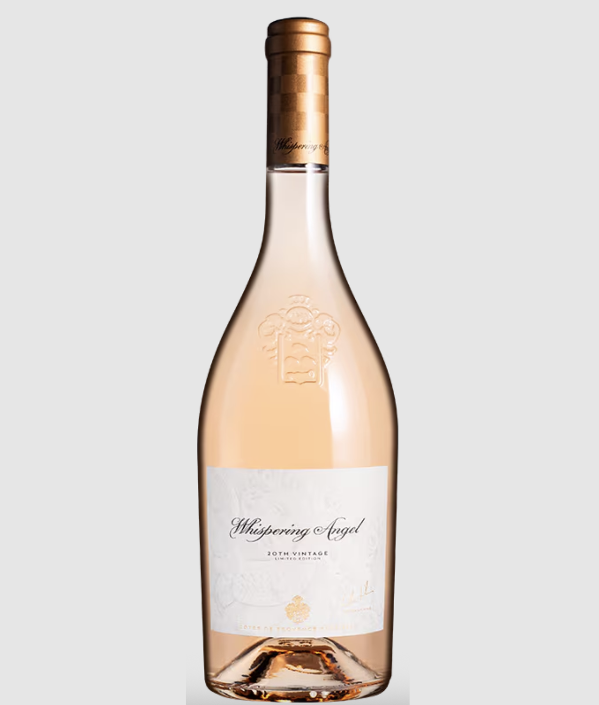 whispering angel rose