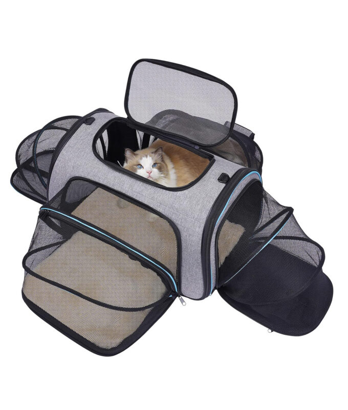 pet carrier with cat inside