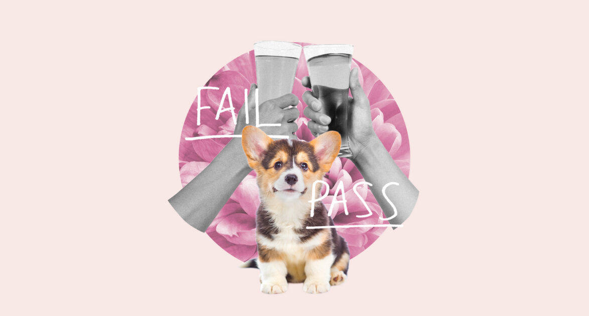 Can the ‘2 Beers and a Puppy' Friendship Test Determine Who Makes a Good Friend?