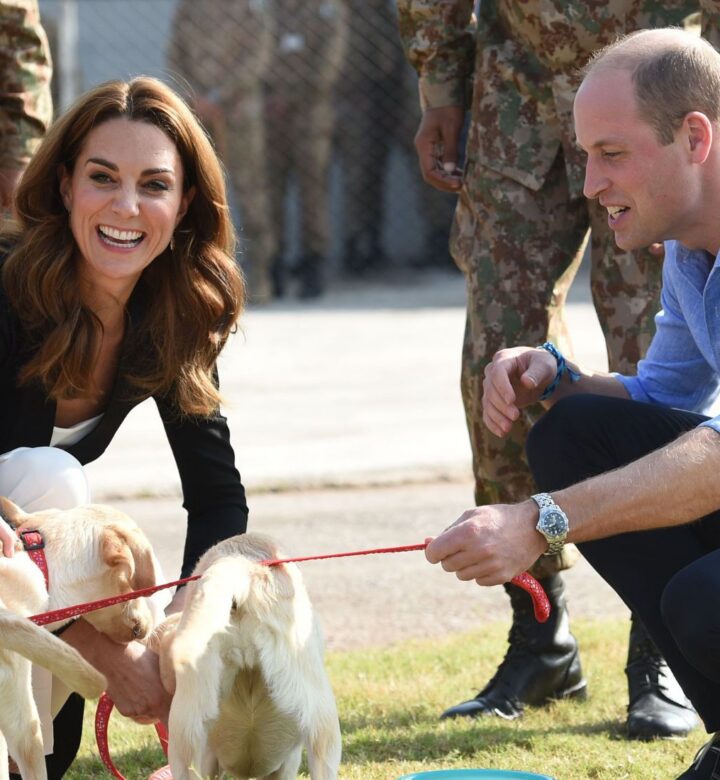 Kate Middleton dog 720x780
