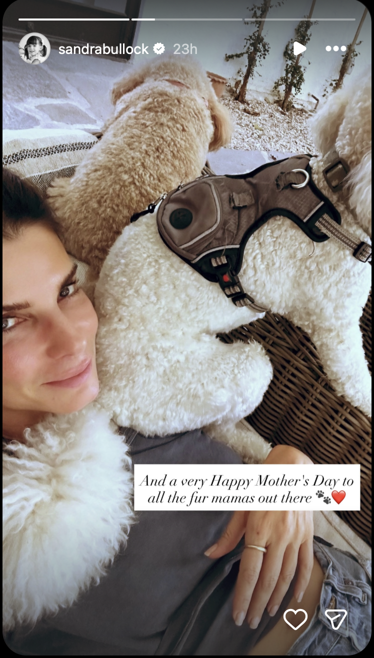 Sandra Bullock Instagram