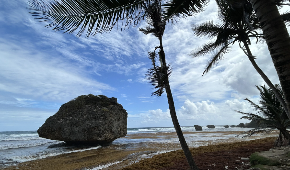 bathsheba beach barbados
