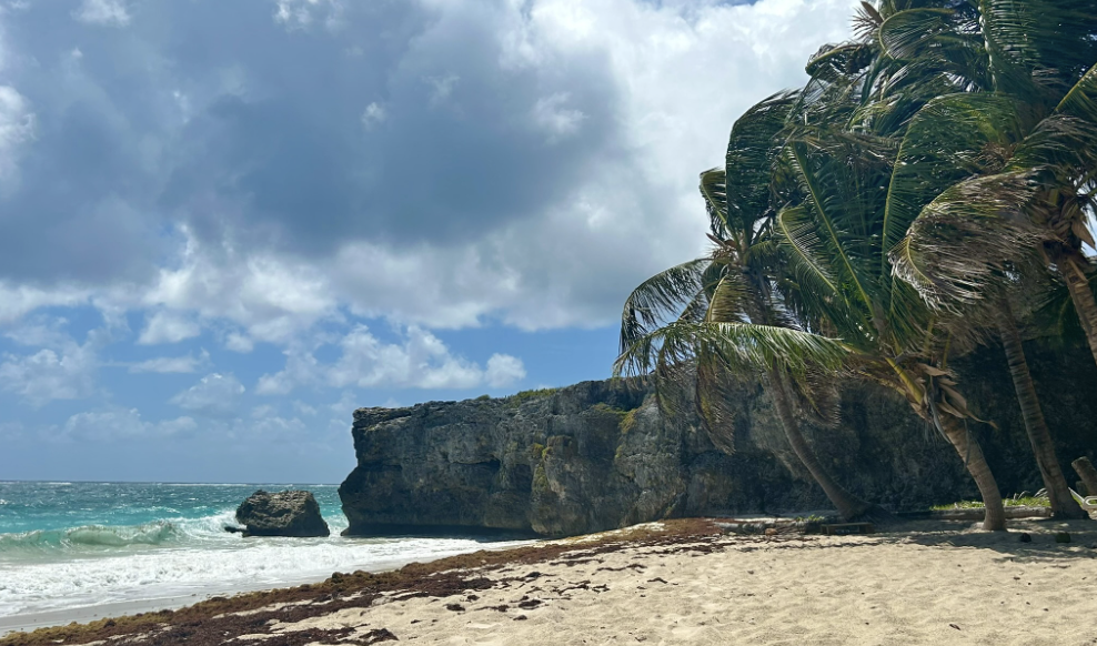 bottom bay beach