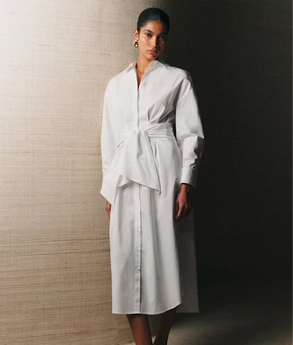 french shirt dress: sézane sorelle dress