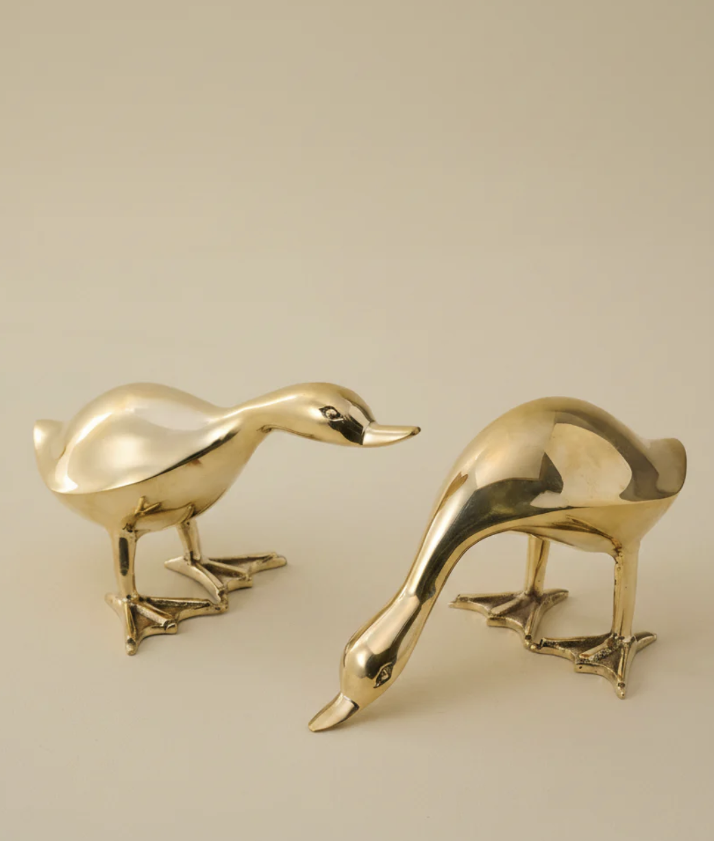 brass duck