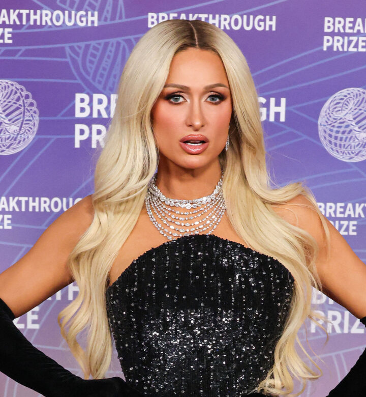paris hilton sheer jellyfish dress
