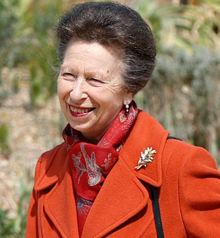 princess anne opaque umbrella