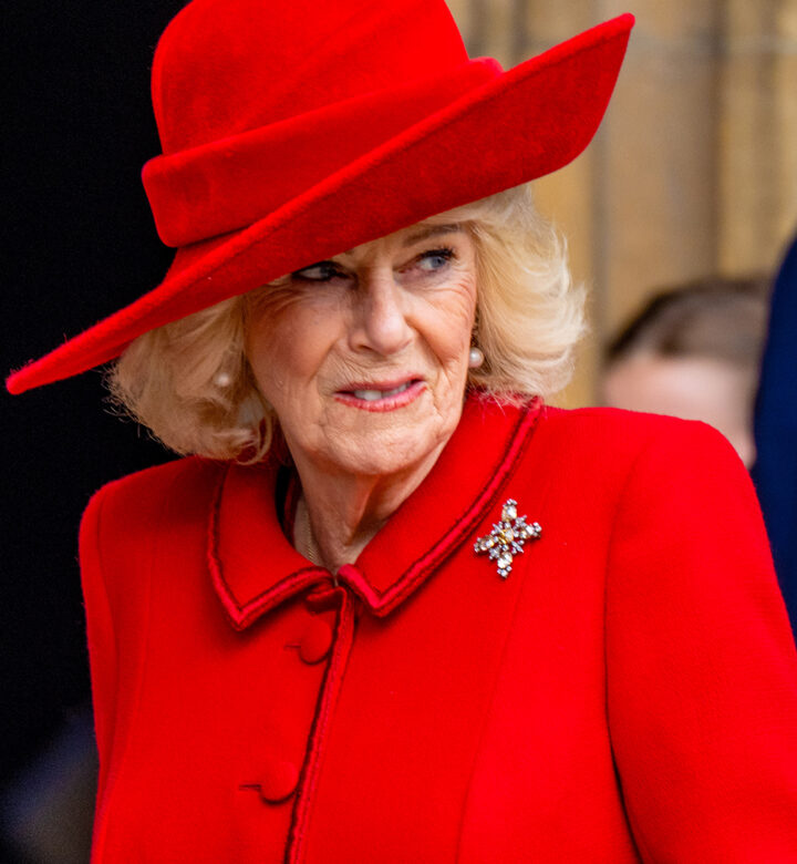 queen camilla turquoise shamrock brooch