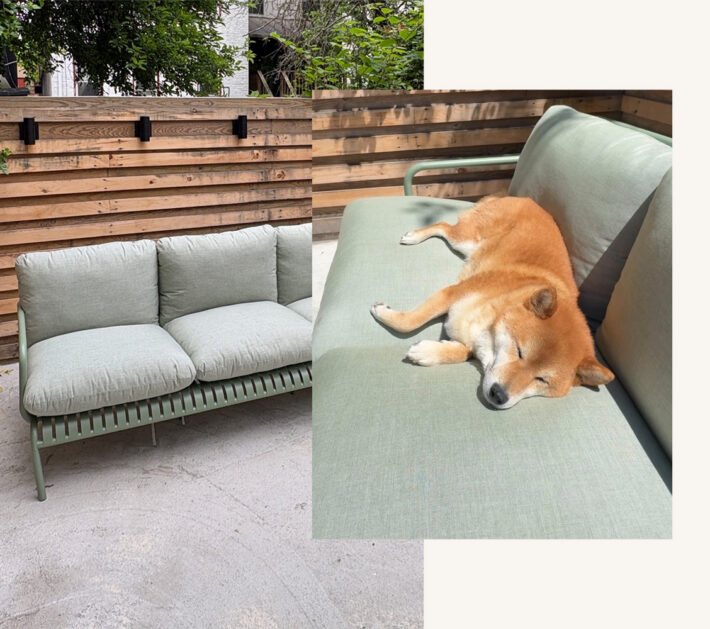 Article Sarek Outdoor Sofa Review: Original photo of green sofa and sleeping dog by Sally Herrod