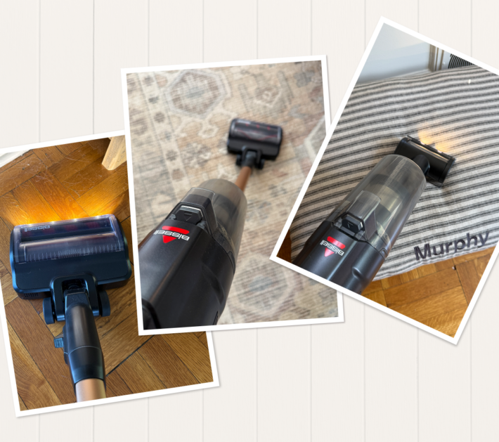 bissell-powerclean-dualbrush-stick-vacuum-cat