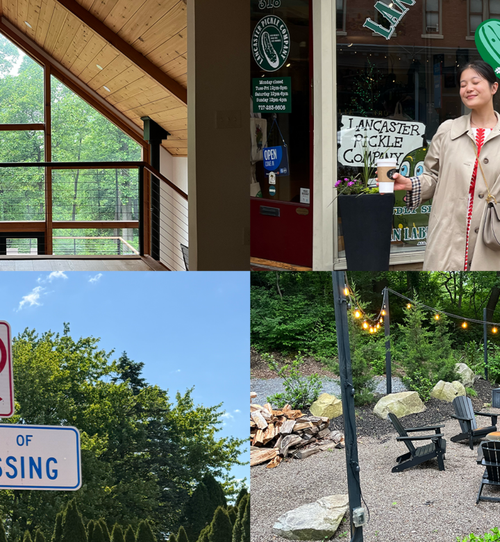 texter mountain home airbnb robesonia pennsylvania