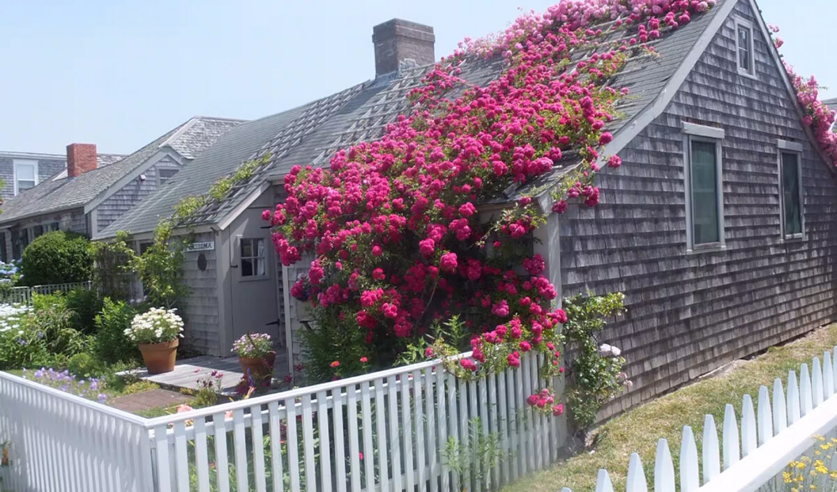 five star weekend airbnbs Historical Rose Covered Cottage 1200x706