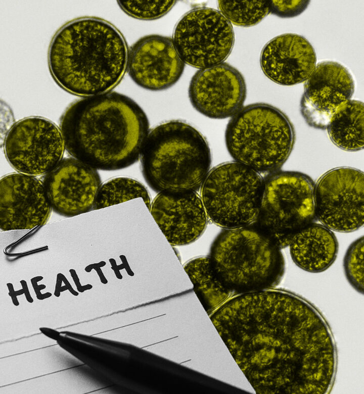 gut-health-symptoms-uni