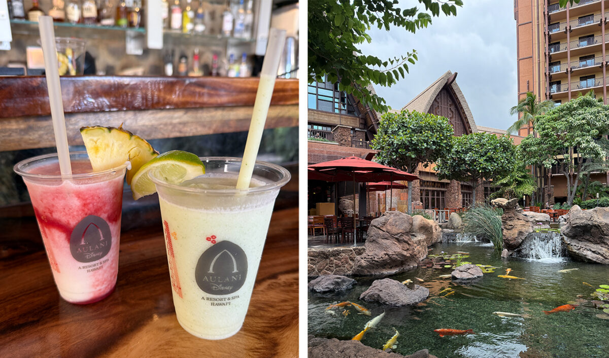 aulani-disney-resort-spa-review-bar