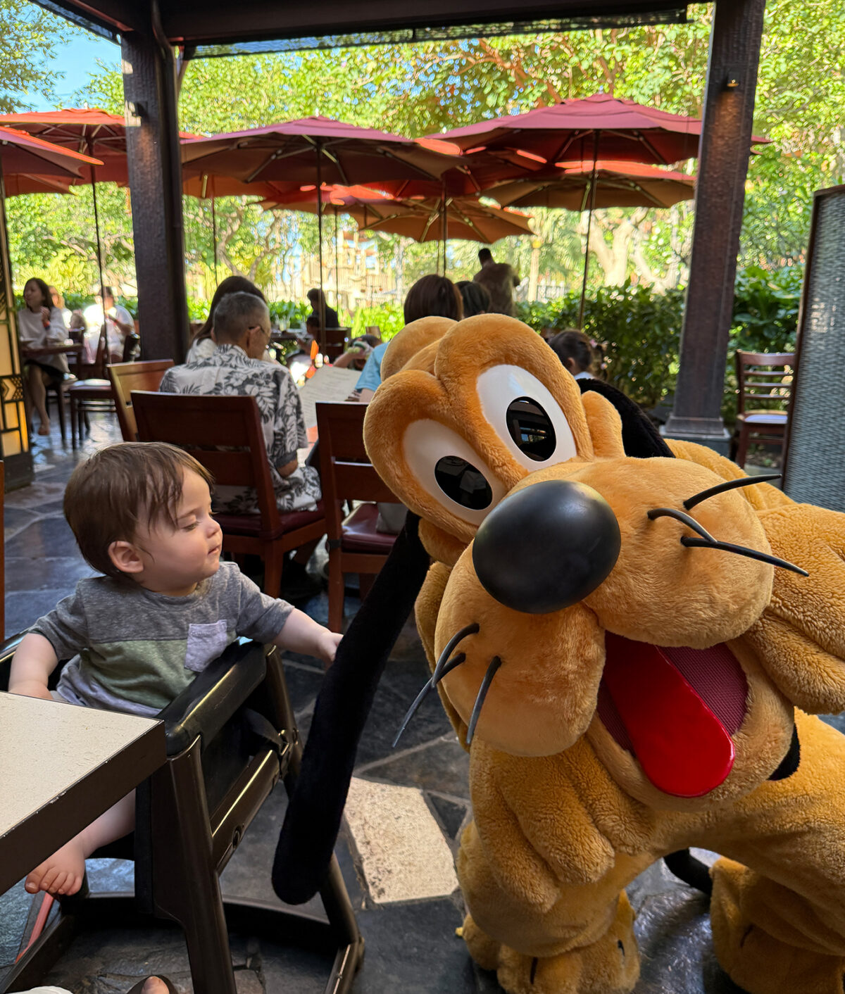 aulani-disney-resort-spa-review-pluto