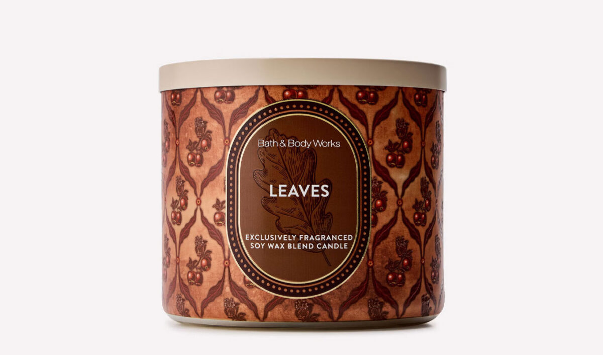 best bath & body works fall candles: leaves