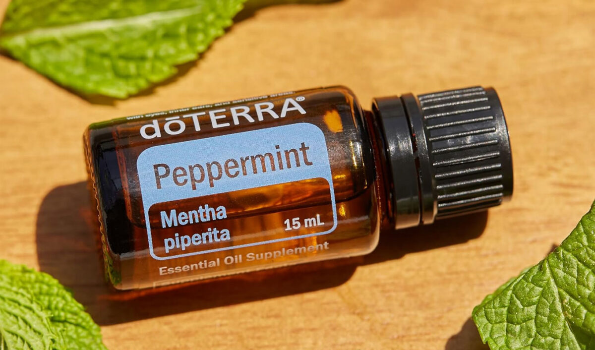 best sleep ever awards 2026: doterra peppermint oil