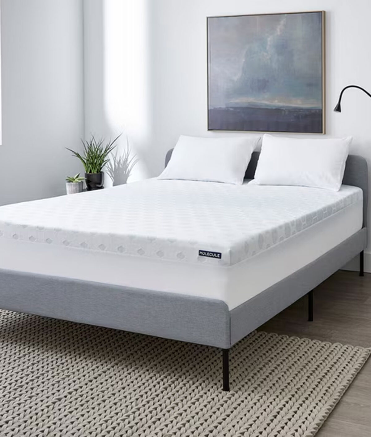 best sleep ever awards 2026: molecule triple zone pro topper
